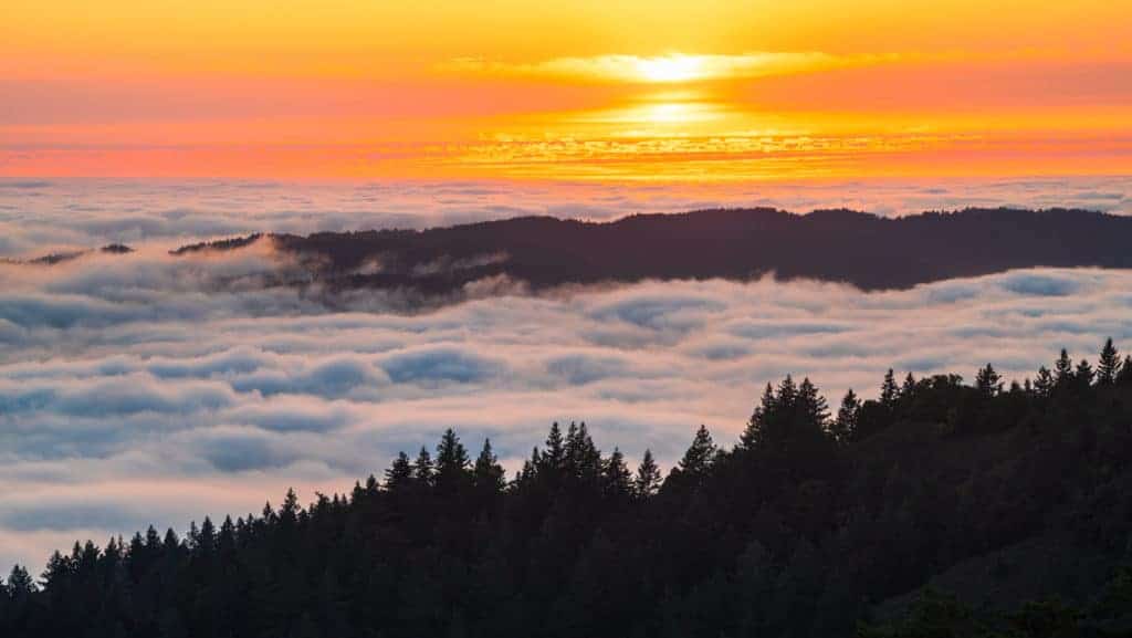 Mt. Tam above the clouds and fogs