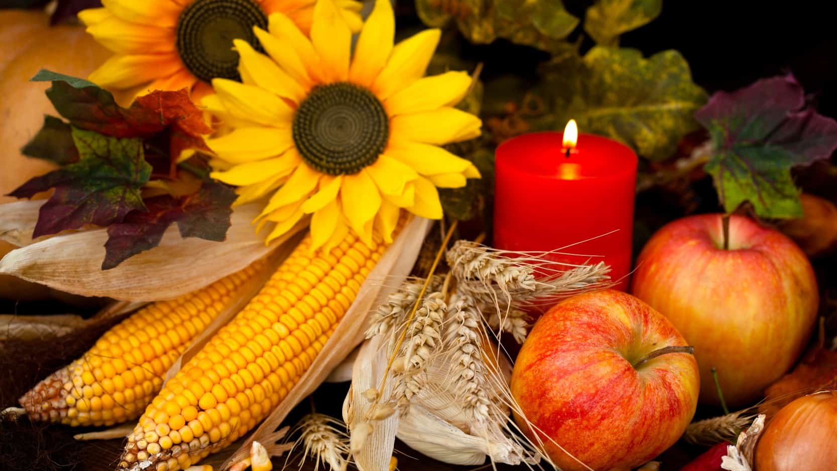 Fall FLower, Fruit and Corn